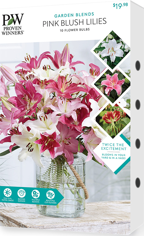 Pink Blush Lilies  Package